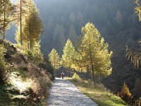 Autunno in Val Varrone (26 ottobre 08) - FOTOGALLERY